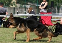 /album/fotogaleria-photos1/kopie-dragon-4-6-16-jpg1/